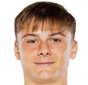 埃姆雷·泰泽尔