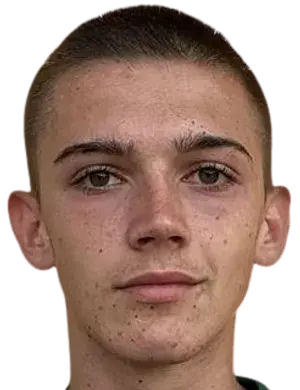 梅尔特·米尤斯卢姆·杜尔穆什